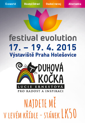 Festival Evolution